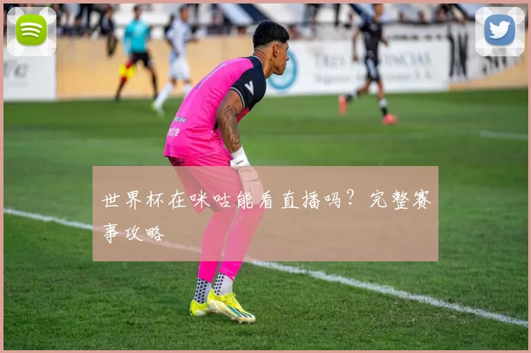 世界杯在咪咕能看直播吗？完整赛事攻略