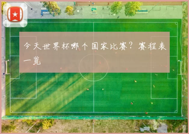 今天世界杯哪个国家比赛?赛程表一览