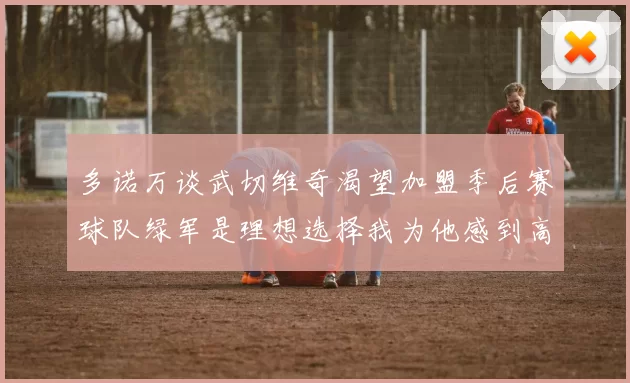 多诺万谈武切维奇渴望加盟季后赛球队绿军是理想选择我为他感到高兴