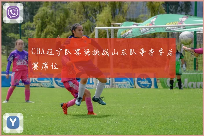CBA辽宁队客场挑战山东队争夺季后赛席位