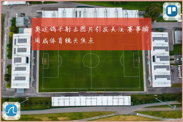 奥运鸽子射击图片引发关注 赛事瞬间成体育镜头焦点
