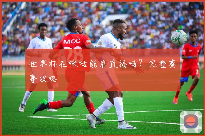 世界杯在咪咕能看直播吗?完整赛事攻略