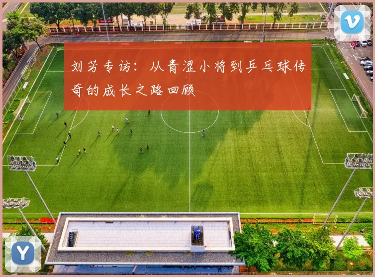 刘芳专访:从青涩小将到乒乓球传奇的成长之路回顾