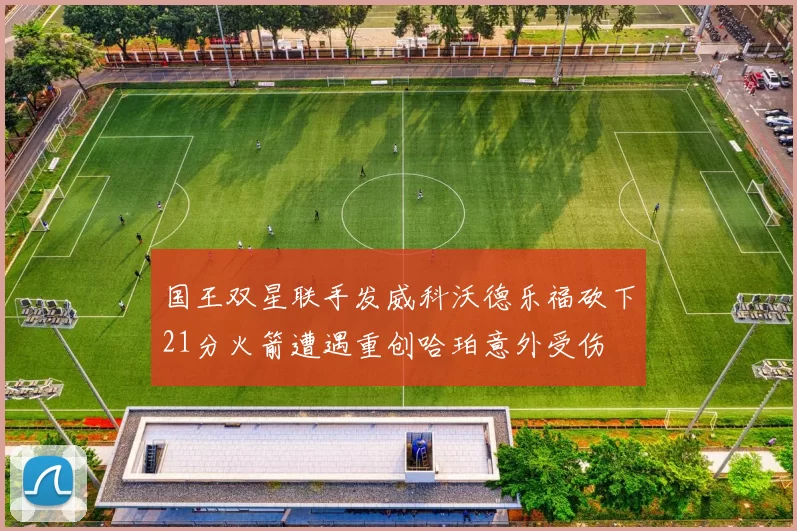 国王双星联手发威科沃德乐福砍下21分火箭遭遇重创哈珀意外受伤