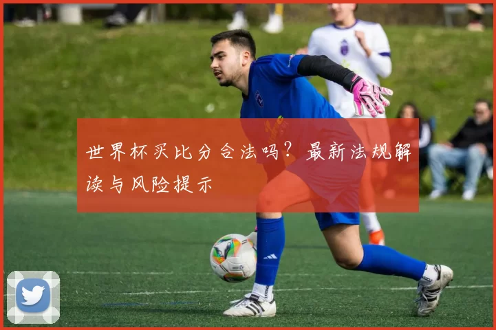 世界杯买比分合法吗?最新法规解读与风险提示
