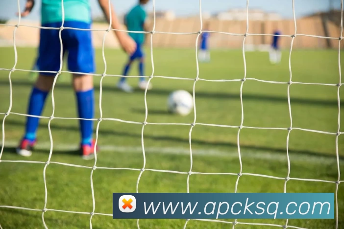 CBA分四组赛制改革落地，新赛季分区对抗格局重塑